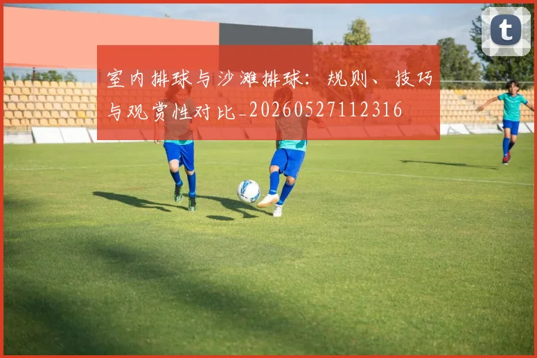室内排球与沙滩排球：规则、技巧与观赏性对比_20260527112316
