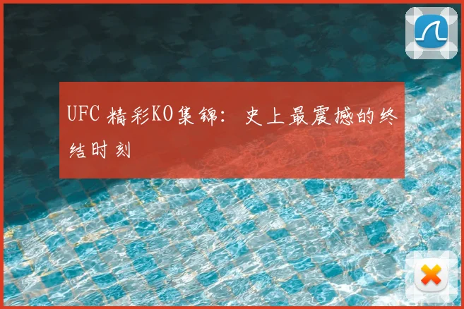 UFC 精彩KO集锦:史上最震撼的终结时刻
